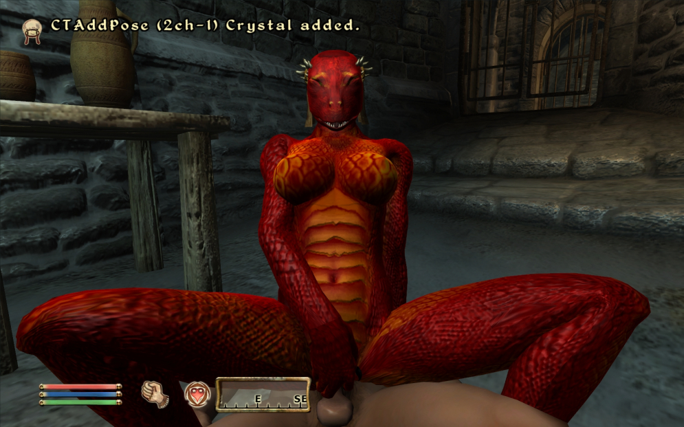 The Elder Scrolls Iv Oblivion Photos Sex And Porn