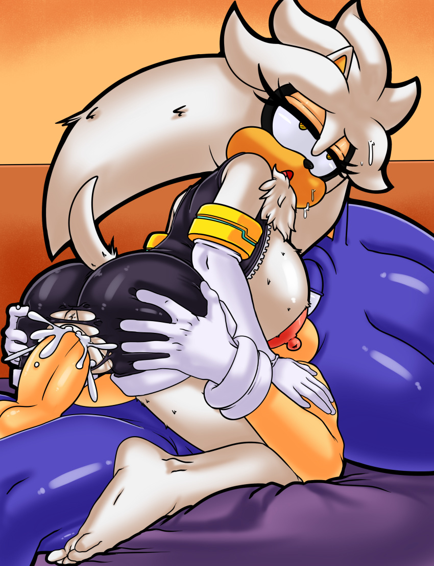 Sonic Furry Porn - Furry Sonic (43 photos) - sex and porn