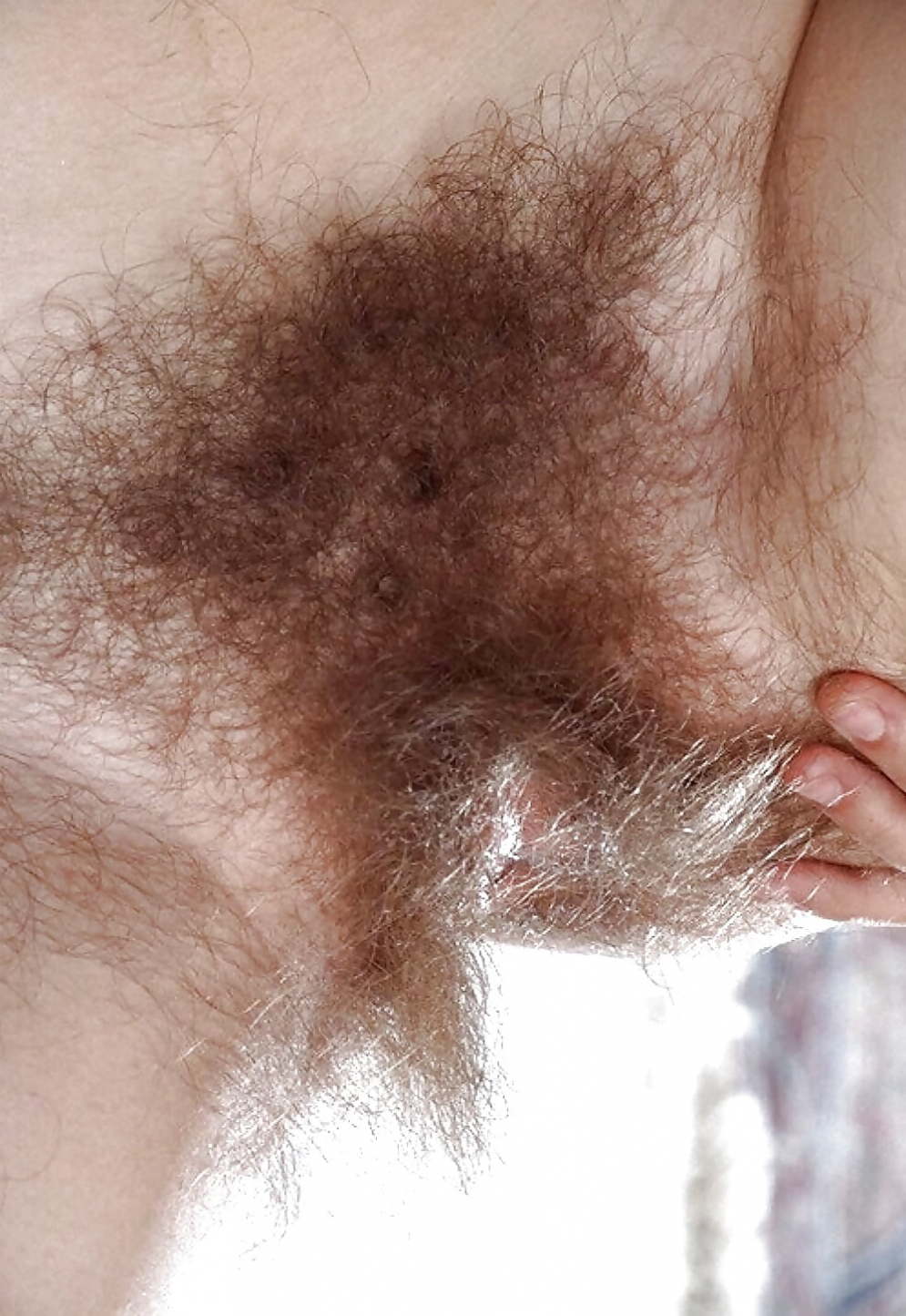 Extremely Hairy Mega Monster Bush Amateur