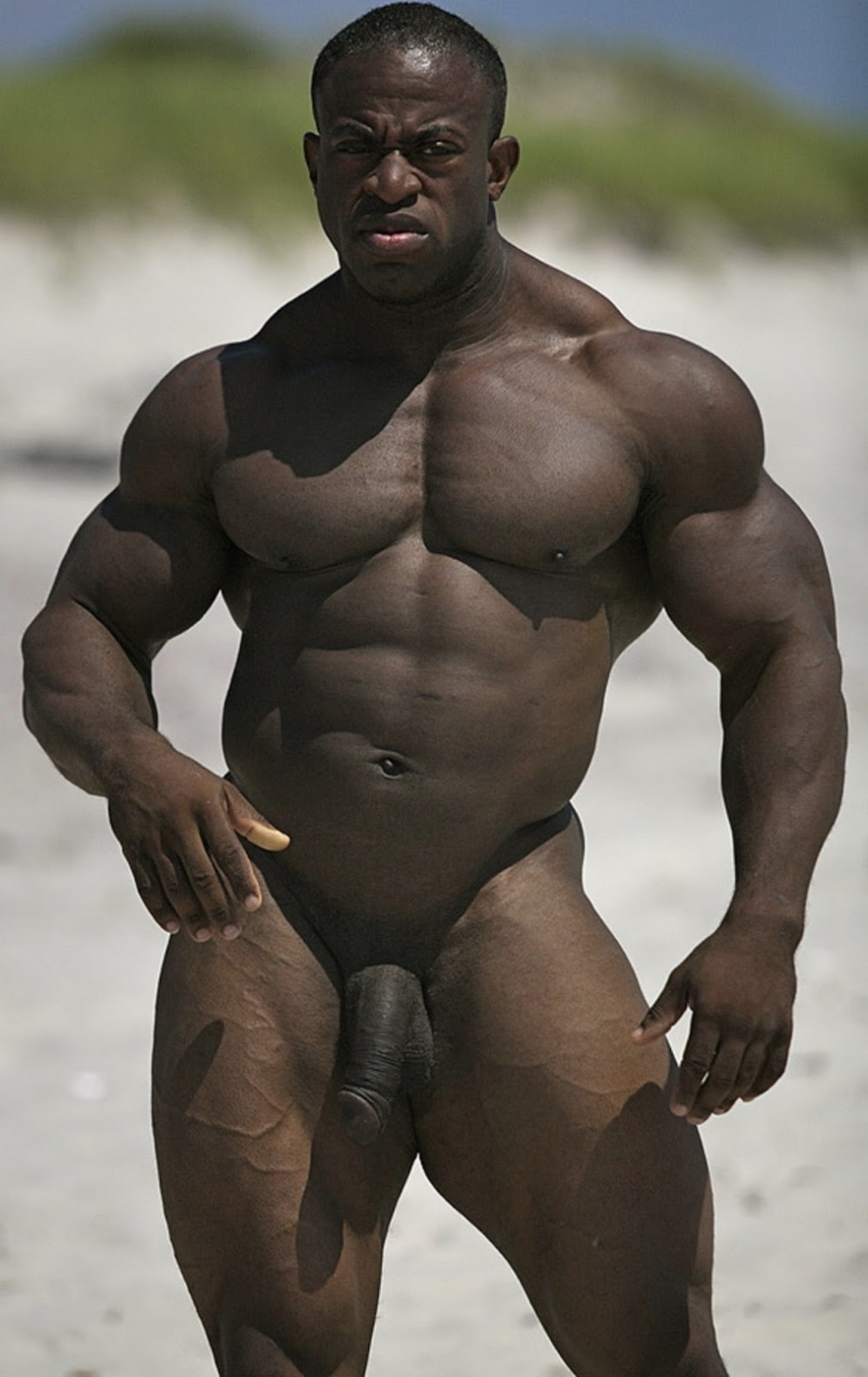 Gay Black African Muscle