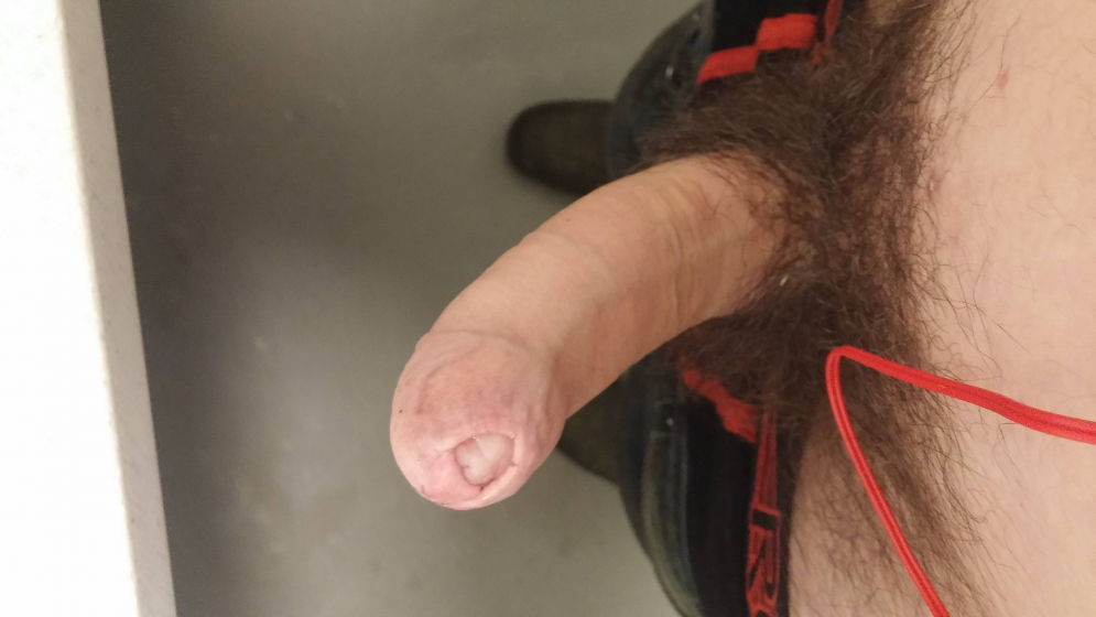 Male dick close -up