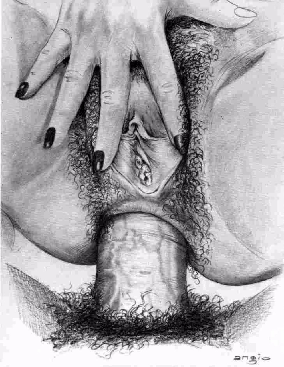 Hairy female vaginas